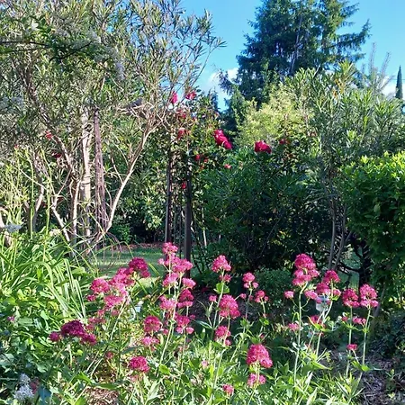 La Chouette, Piscine, Jardin , Parking, Wifi Le Vigan (Gard)