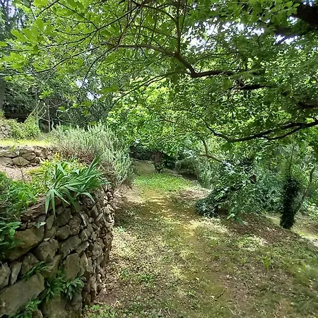 La Chouette, Piscine, Jardin , Parking, Wifi Le Vigan (Gard)