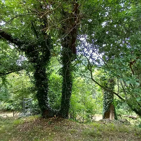 La Chouette, Piscine, Jardin , Parking, Wifi Le Vigan (Gard)
